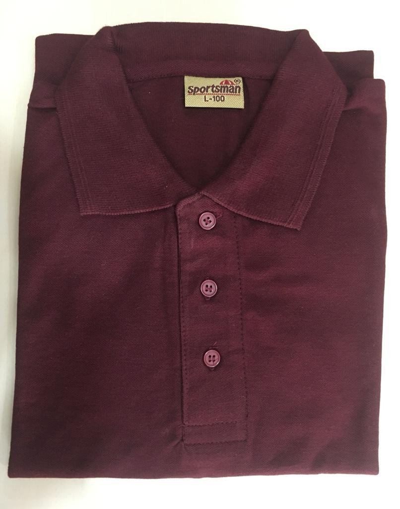 Sportsman Polo neck T-Shirt supplier - 230 Gsm - Maroon